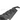 BMW M2/M2C F87 CARBON FIBRE DIFFUSER - MP STYLE